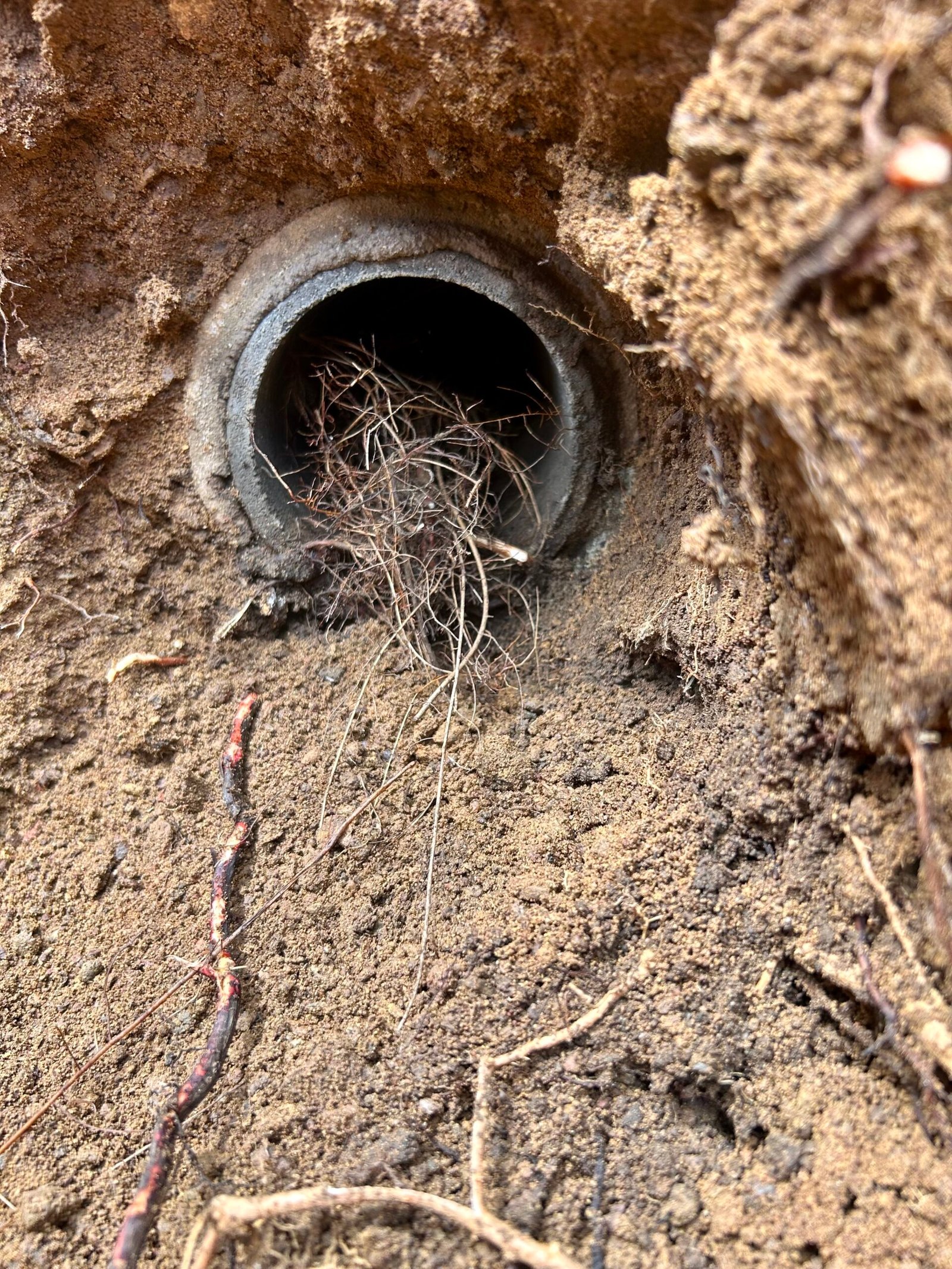 Sewer detail 1