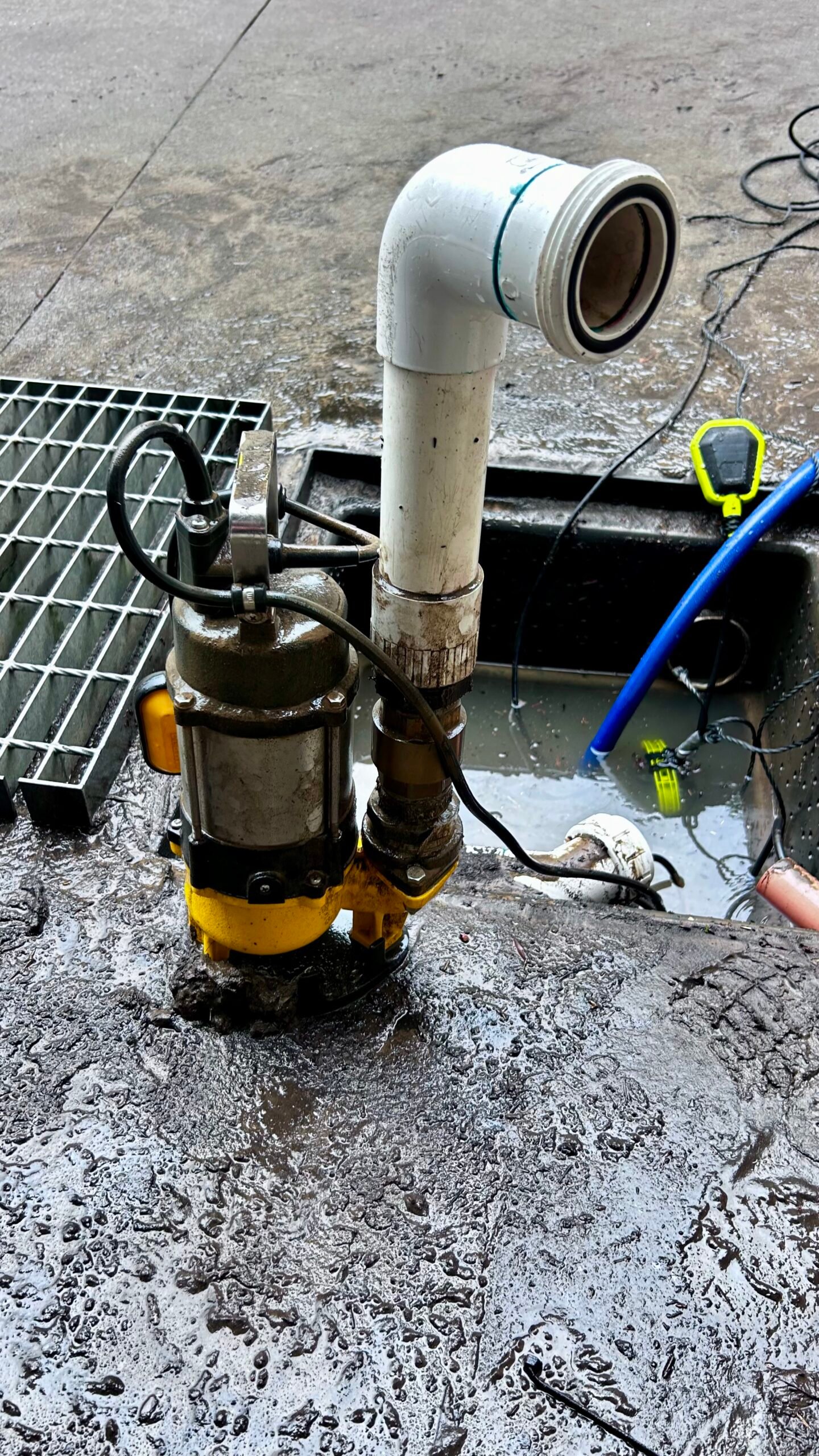 Sewer Clearance - after
